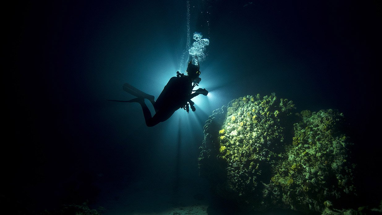 How to Become a Certified Scuba Diver on Vacation, According to a Traveler  Who Did It
