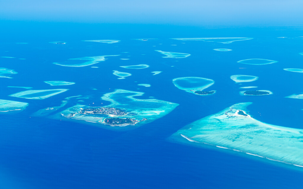 Maldives 2023 November North American Divers